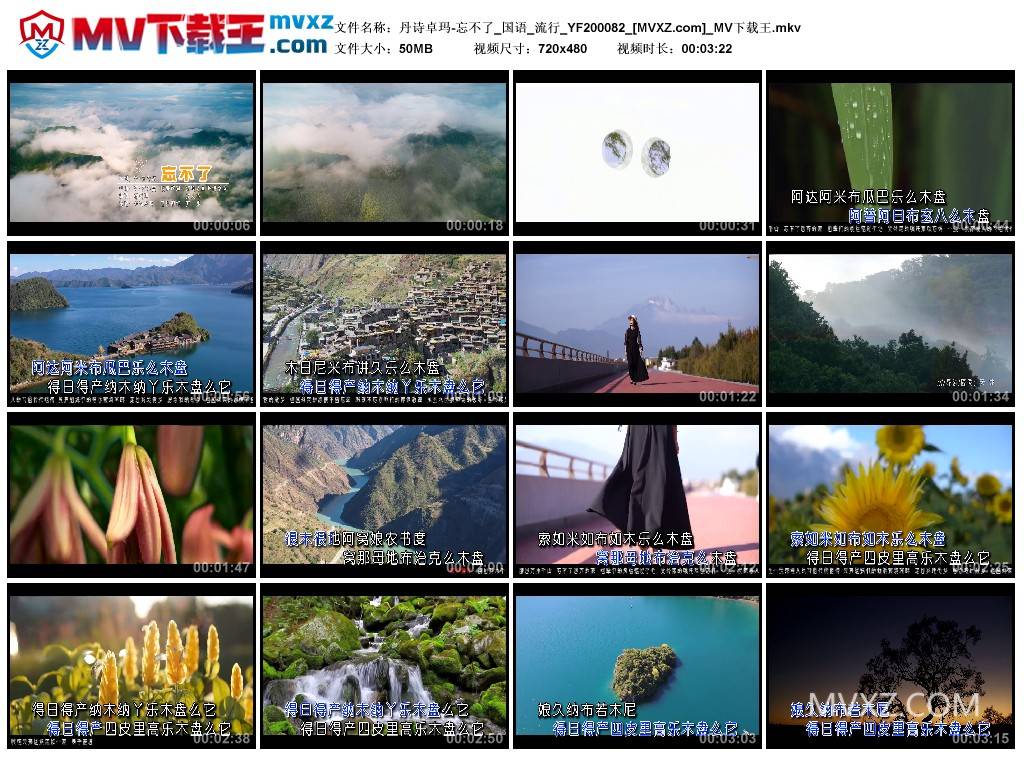 丹诗卓玛-忘不了_国语_流行_YF200082